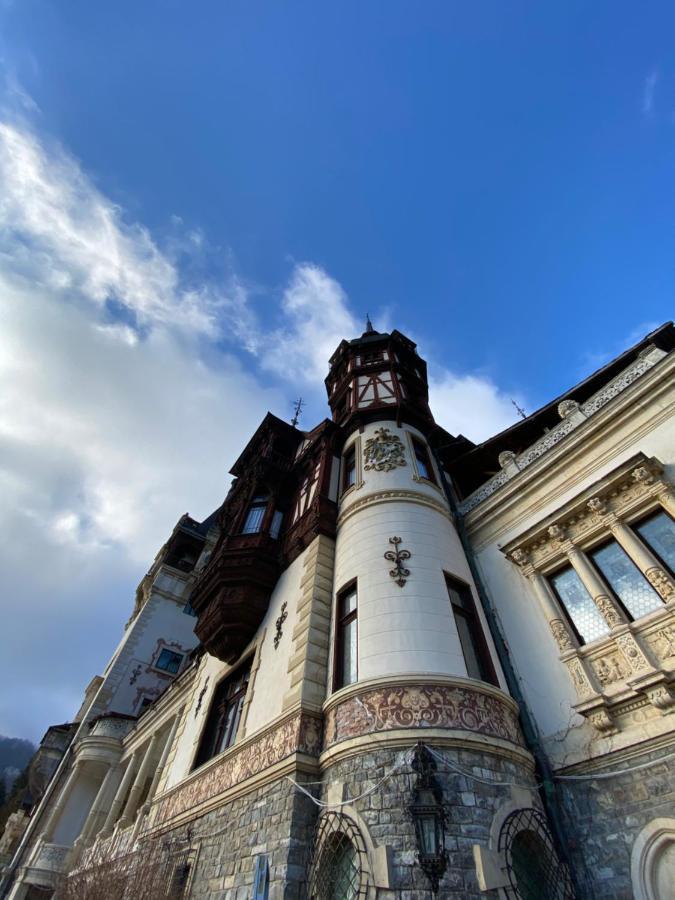 Vila De Argint Aleea Pelesului Nr 2 Sinaia Exterior foto
