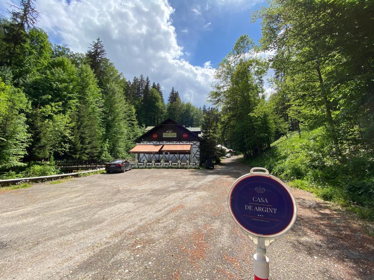 Vila De Argint Aleea Pelesului Nr 2 Sinaia Exterior foto